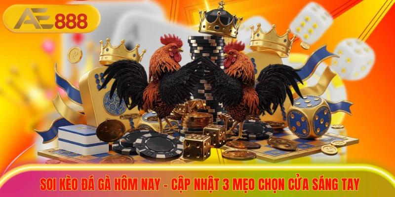 Soi Kèo Đá Gà Hôm Nay - Cập Nhật 3 Mẹo Chọn Cửa Sáng Tay Soi Kèo Đá Gà Hôm Nay - Cập Nhật 3 Mẹo Chọn Cửa Sáng Tay