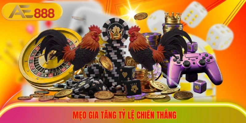 Soi Kèo Đá Gà Hôm Nay - Cập Nhật 3 Mẹo Chọn Cửa Sáng Tay Mẹo gia tăng tỷ lệ chiến thắng